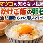 【マツコの知らない世界】卵かけご飯の卵6選と醤油！通販・ちょい足しレシピも紹介